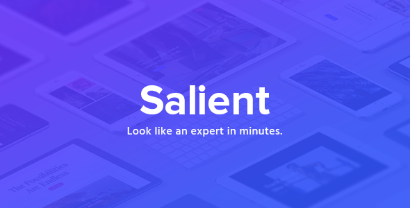 salient Theme